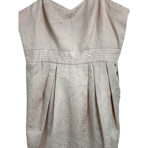 12 Maxandcleo Strapless Mini Dress Nude Bare Pink NWT Lined 6465 Wrap $158 - Picture 3 of 10